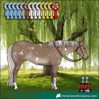 Horse Color:White Spotted Silver Grullo Tobiano