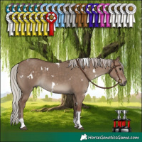 Horse Color:White Spotted Silver Grullo Tobiano