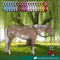 Horse Color:White Spotted Silver Grullo Tobiano