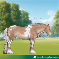 Horse Color:Silver Brown Dun Tobiano Varnish