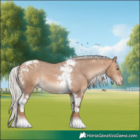 Horse Color:Silver Brown Dun Tobiano Appaloosa 
