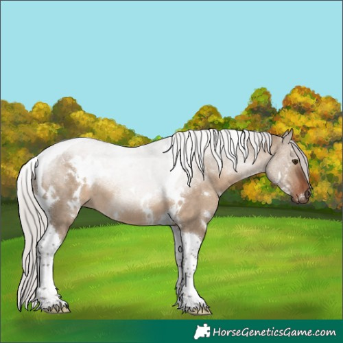 Horse Color:White Spotted Silver Brown Dun Tobiano 