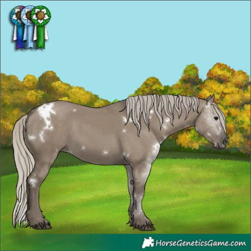 Horse Color:White Spotted Silver Smoky Grullo 