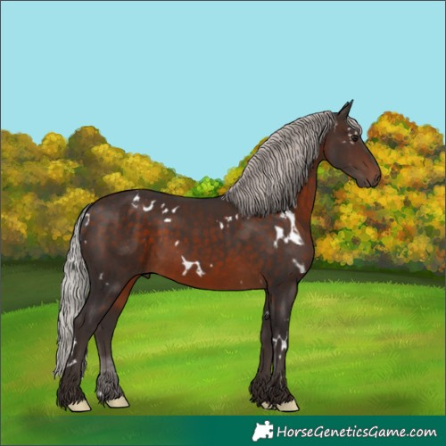 Horse Color:White Spotted Silver Brown 