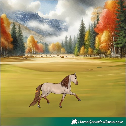 Horse Color:Red Dun 