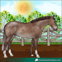 Horse Color:Chocolate Brown Dun