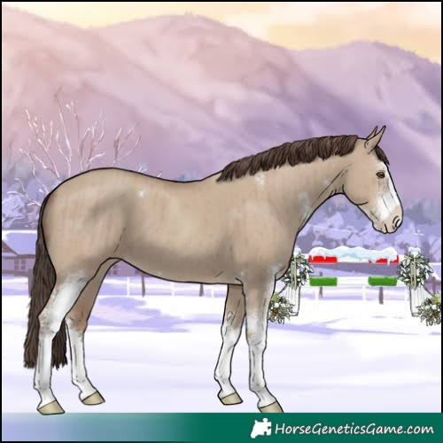 Horse Color:Classic Champagne Dun Sabino Brindle