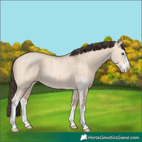 Horse Color:Amber Champagne Dun Sabino Rabicano Brindle