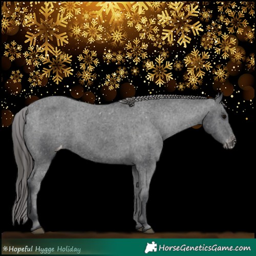 Horse Color:Black Appaloosa Rabicano 