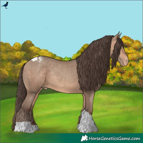 Horse Color:Amber Champagne Tobiano Appaloosa Rabicano 