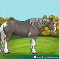 Horse Color:Silver Black Tobiano 