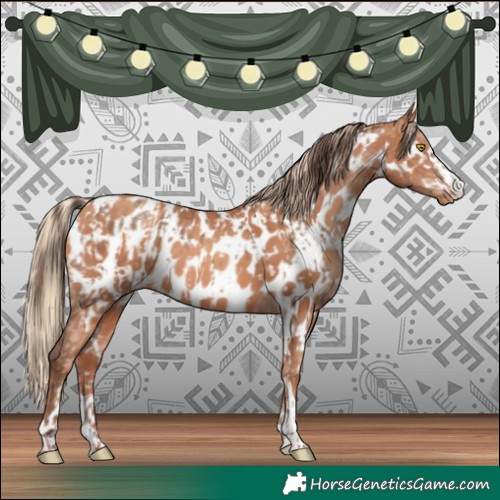 Horse Color:Amber Champagne Near Leopard and Gold Champagne Near Leopard