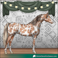 Horse Color:Amber Champagne Near Leopard  and Gold Champagne Near Leopard 