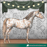 Horse Color:Gold Champagne Appaloosa  and Gold Champagne Appaloosa 