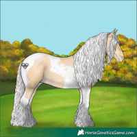 Horse Color:Silver Buckskin Pearl Tobiano 