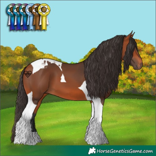 Horse Color:Bay Tobiano 