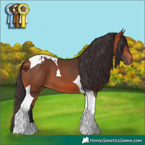 Horse Color:Bay Tobiano 