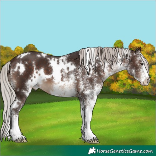 Horse Color:White Spotted Silver Brown 