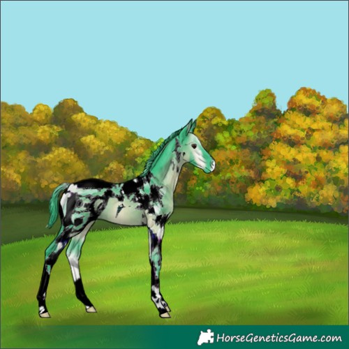 Horse Color:ERROR: UNKNOWN ANOMALY