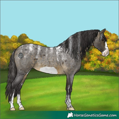 Horse Color:Powder White Buckskin Roan Frame 