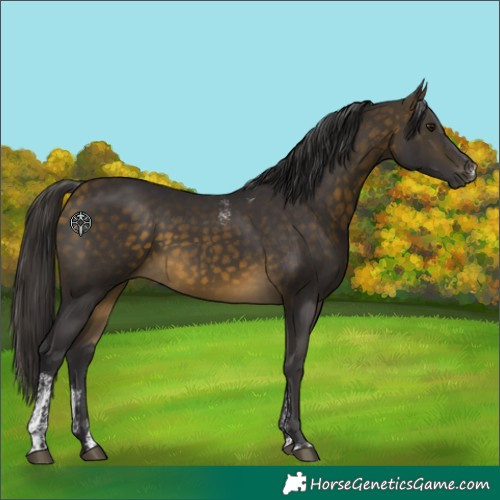 Horse Color:Powder White Buckskin 