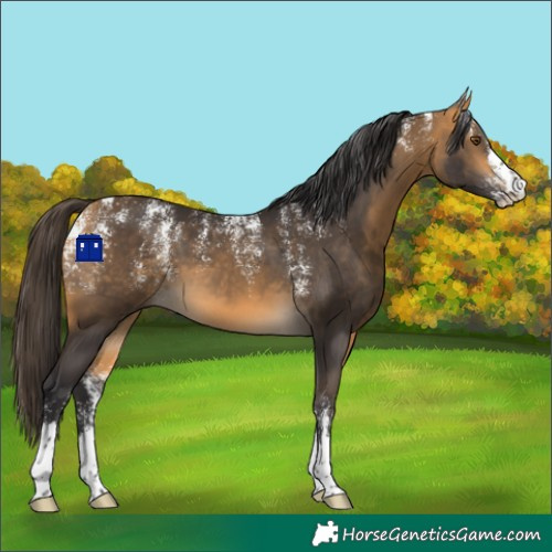 Horse Color:Powder White Buckskin 