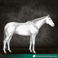 Horse Color:White Spotted Black 