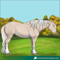 Horse Color:Cremello Tobiano