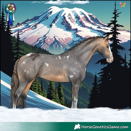 Horse Color:White Spotted Buckskin Splash Tobiano Appaloosa 