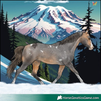 Horse Color:White Spotted Buckskin Splash Tobiano Appaloosa 