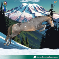 Horse Color:White Spotted Buckskin Splash Tobiano Appaloosa