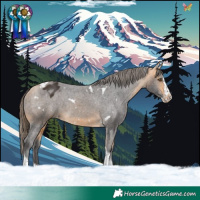 Horse Color:White Spotted Buckskin Splash Tobiano Varnish 