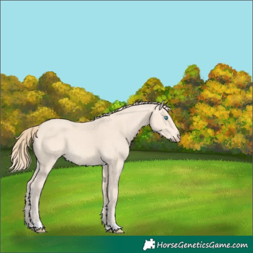 Horse Color:Perlino 