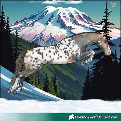 Horse Color:White Spotted Buckskin Splash Tobiano Appaloosa Rabicano 