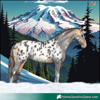 Horse Color:White Spotted Buckskin Splash Tobiano Appaloosa Rabicano 