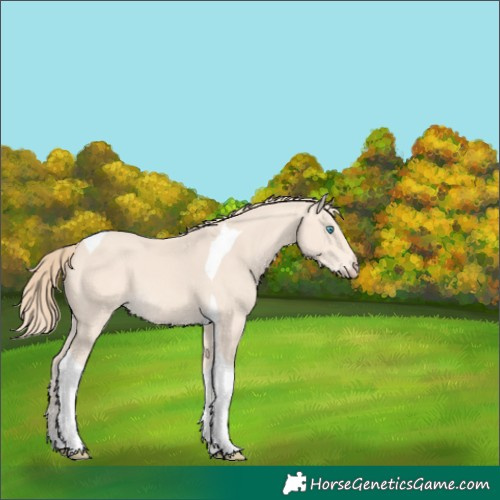Horse Color:Perlino Tobiano 