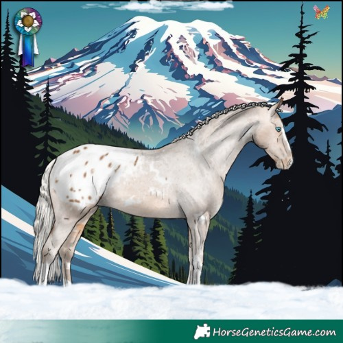 Horse Color:White Spotted Silver Buckskin Splash Tobiano Appaloosa 