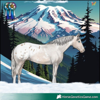 Horse Color:White Spotted Silver Buckskin Splash Tobiano Blanket