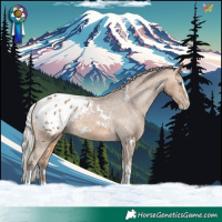Horse Color:White Spotted Silver Buckskin Splash Tobiano Appaloosa