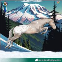 Horse Color:White Spotted Silver Buckskin Splash Tobiano Appaloosa 