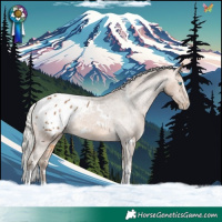 Horse Color:White Spotted Silver Buckskin Splash Tobiano Appaloosa 