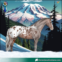 Horse Color:White Spotted Silver Bay Splash Tobiano Appaloosa 