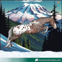 Horse Color:White Spotted Silver Bay Splash Tobiano Appaloosa 