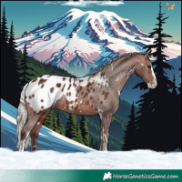 Horse Color:White Spotted Silver Bay Splash Tobiano Appaloosa 