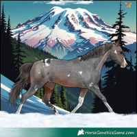 Horse Color:White Spotted Bay Splash Tobiano Appaloosa Rabicano