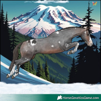 Horse Color:White Spotted Bay Splash Tobiano Appaloosa Rabicano 