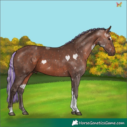 Horse Color:Painted Silver Brown Tobiano 