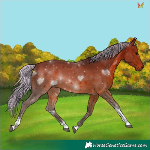 Horse Color:Painted Silver Brown Tobiano 
