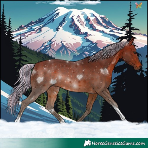 Horse Color:Painted Silver Brown Tobiano 