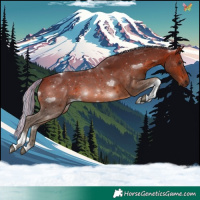 Horse Color:Painted Silver Brown Tobiano